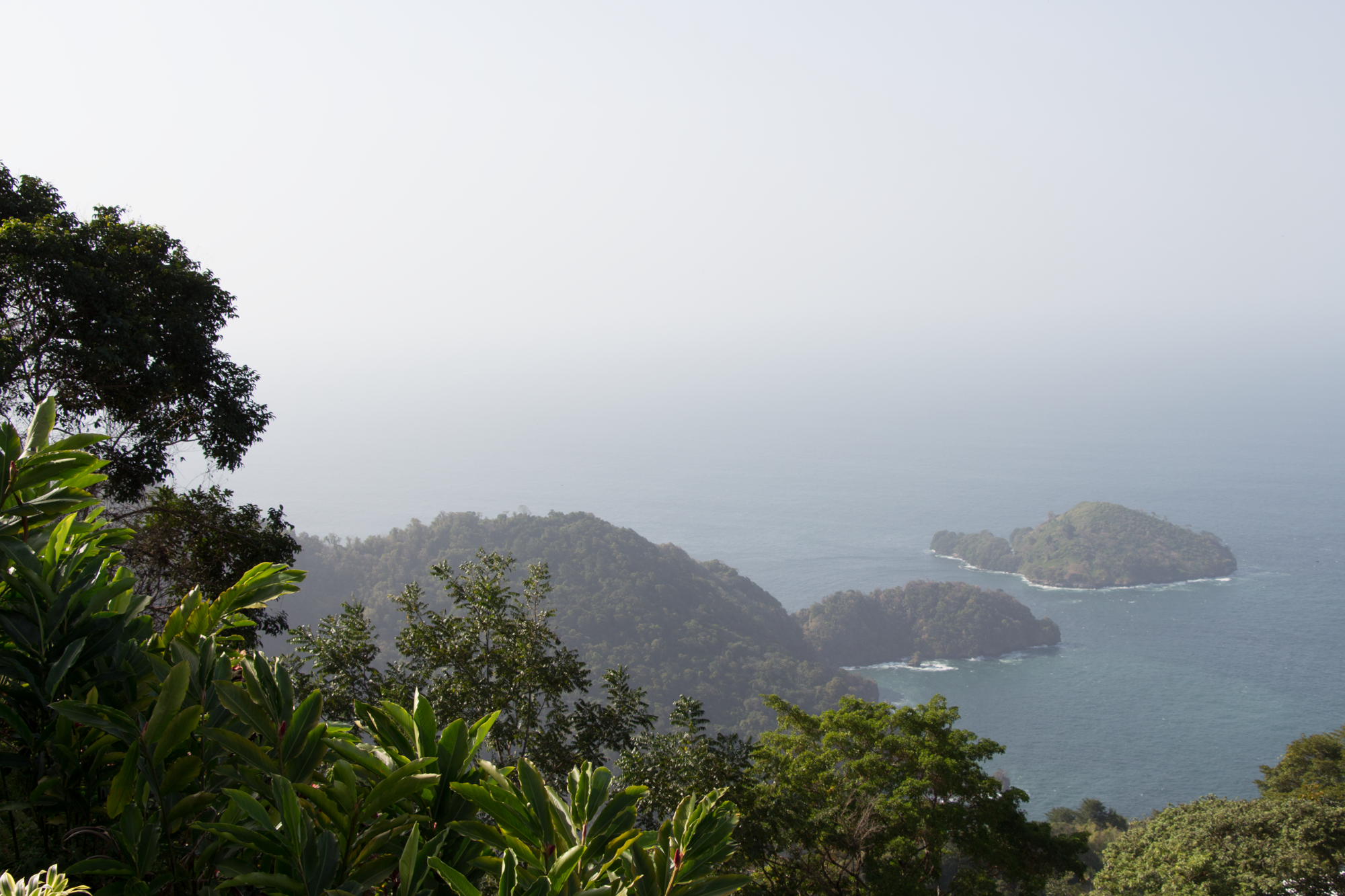 Nicole Tang landscape photography of a mountain view