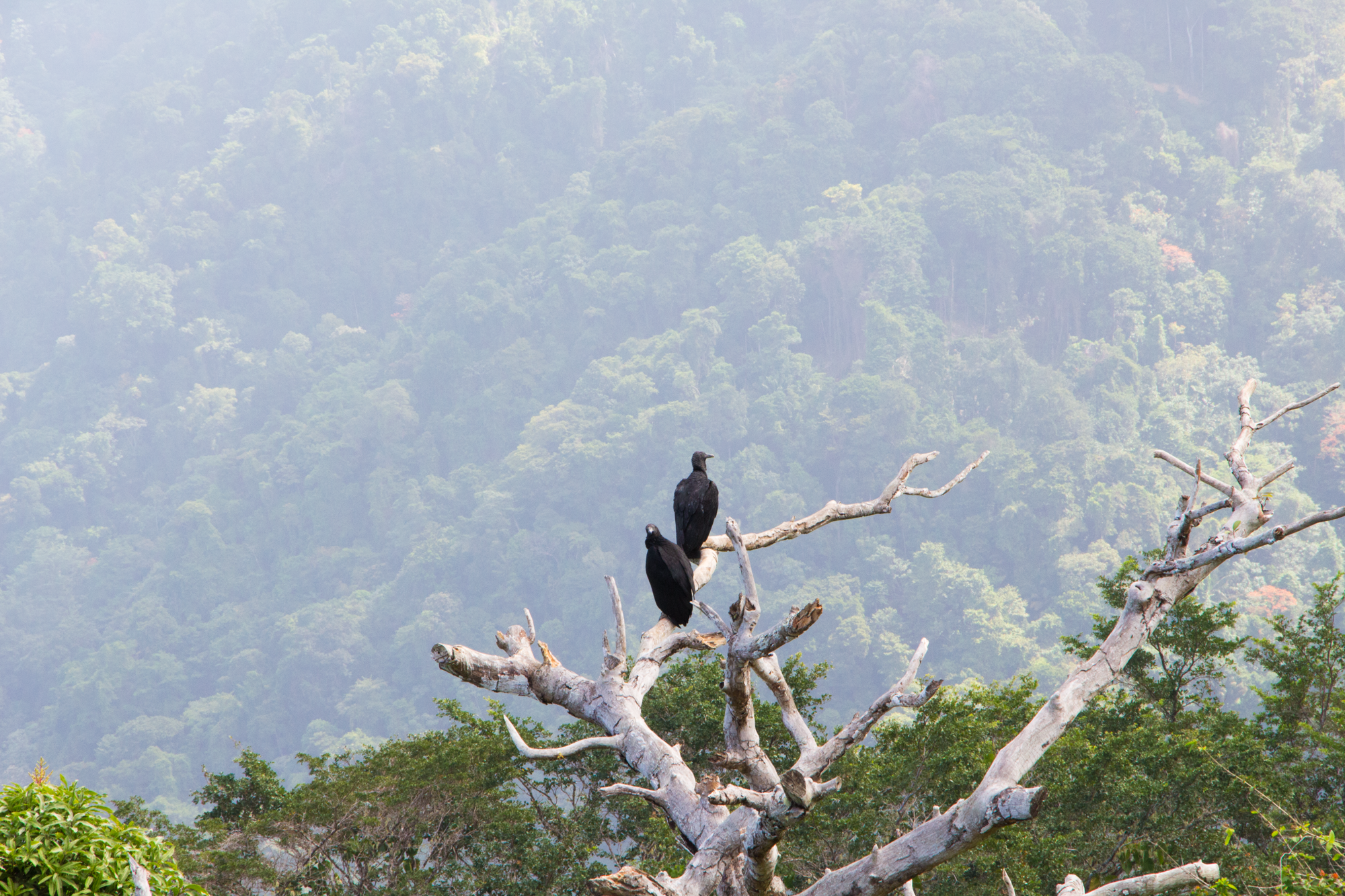 Nicole Tang landscape photography of a mountain view